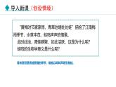 人教版（2024）八年级生物下册7.1.3两栖动物的生殖和发育精品课件