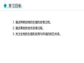 人教版（2024）八年级生物下册7.1.3两栖动物的生殖和发育精品课件