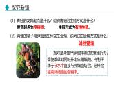 人教版（2024）八年级生物下册7.1.3两栖动物的生殖和发育精品课件