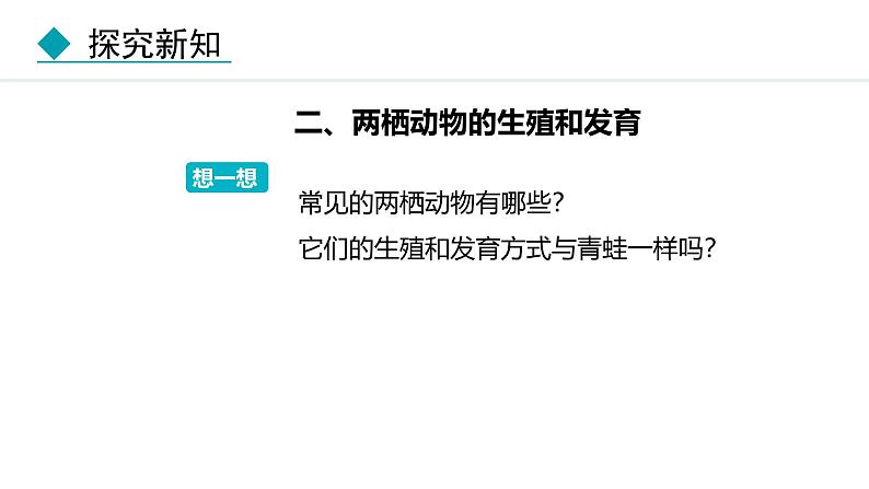 人教版（2024）八年级生物下册7.1.3两栖动物的生殖和发育精品课件第7页