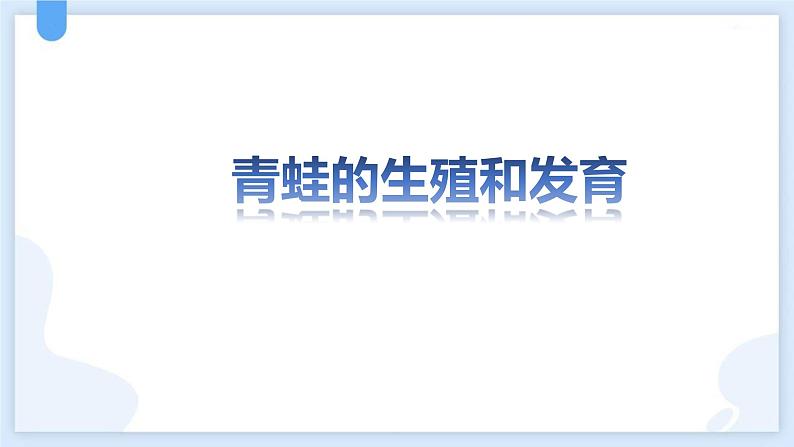 人教版（2024）八年级生物下册7.1.3两栖动物的生殖和发育精品ppt课件第6页