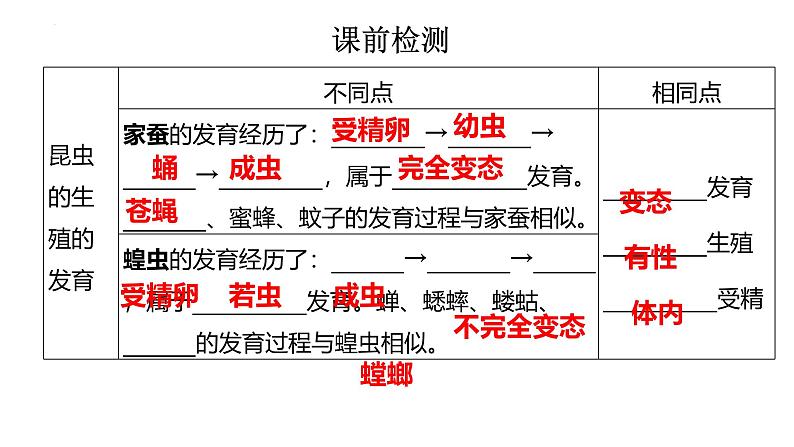 人教版（2024）八年级生物下册7.1.3两栖动物的生殖和发育ppt精品课件第2页