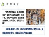 人教版（2024）八年级生物下册7.1.3两栖动物的生殖和发育ppt精品课件
