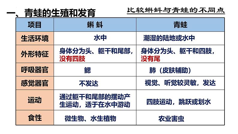 人教版（2024）八年级生物下册7.1.3两栖动物的生殖和发育ppt精品课件第8页