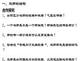 人教版（2024）八年级生物下册7.1.4鸟的生殖和发育ppt精品课件