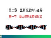 人教版（2024）八年级生物下册7.2.1基因控制生物的性状精品课件