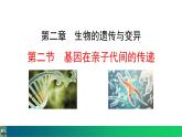 人教版（2024）八年级生物下册7.2.2基因在亲子代间的传递精品课件