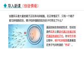 人教版（2024）八年级生物下册7.2.2基因在亲子代间的传递精品课件