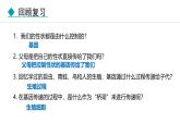 人教版（2024）八年级生物下册7.2.2基因在亲子代间的传递精品课件