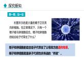 人教版（2024）八年级生物下册7.2.2基因在亲子代间的传递精品课件