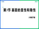 人教版（2024）八年级生物下册7.2.3基因的显性和隐性精品ppt课件