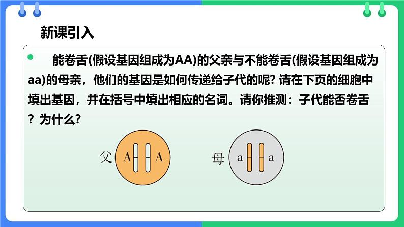 人教版（2024）八年级生物下册7.2.3基因的显性和隐性精品ppt课件第3页