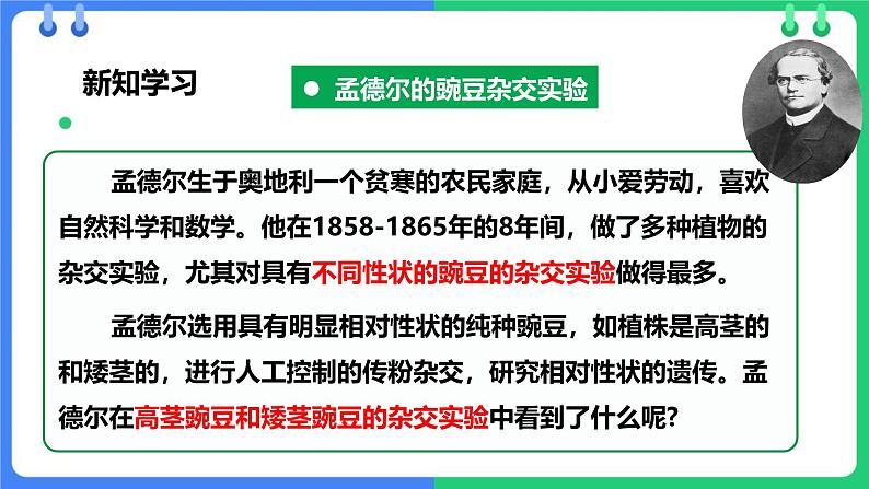 人教版（2024）八年级生物下册7.2.3基因的显性和隐性精品ppt课件第6页