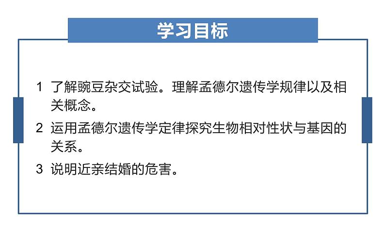 人教版（2024）八年级生物下册7.2.3基因的显性和隐性ppt精品课件第2页