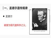 人教版（2024）八年级生物下册7.2.3基因的显性和隐性ppt精品课件