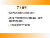 人教版（2024）八年级生物下册7.2.4人的性别遗传精品课件ppt