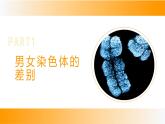 人教版（2024）八年级生物下册7.2.4人的性别遗传精品课件ppt