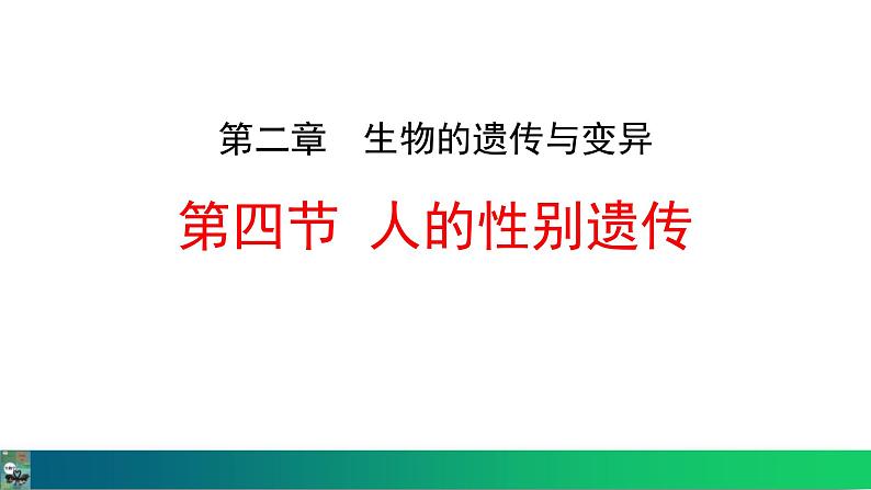 人教版（2024）八年级生物下册7.2.4人的性别遗传精品课件第1页