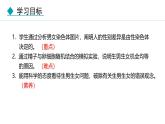 人教版（2024）八年级生物下册7.2.4人的性别遗传精品课件