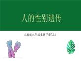 人教版（2024）八年级生物下册7.2.4人的性别遗传精品ppt课件