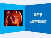 人教版（2024）八年级生物下册7.2.4人的性别遗传ppt精品课件