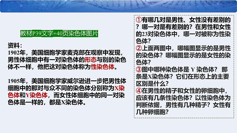 人教版（2024）八年级生物下册7.2.4人的性别遗传ppt精品课件第7页