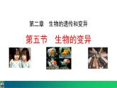 人教版（2024）八年级生物下册7.2.5生物的变异精品课件