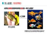 人教版（2024）八年级生物下册7.2.5生物的变异精品课件