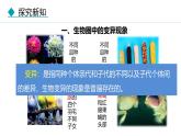 人教版（2024）八年级生物下册7.2.5生物的变异精品课件