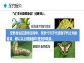 人教版（2024）八年级生物下册7.2.5生物的变异精品课件