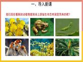 人教版（2024）八年级生物下册7.3.2生物进化的历程课件