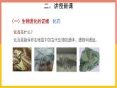 人教版（2024）八年级生物下册7.3.2生物进化的历程课件