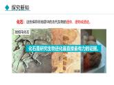 人教版（2024）八年级生物下册7.3.2生物进化的历程精品课件