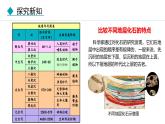 人教版（2024）八年级生物下册7.3.2生物进化的历程精品课件