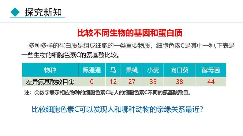 人教版（2024）八年级生物下册7.3.2生物进化的历程精品课件第7页