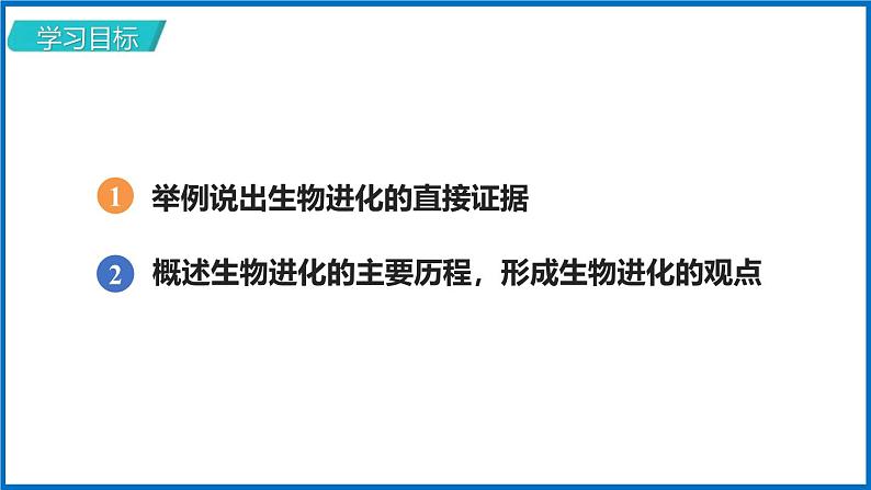 人教版（2024）八年级生物下册7.3.2生物进化的历程精品ppt课件第2页