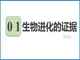 人教版（2024）八年级生物下册7.3.2生物进化的历程精品ppt课件