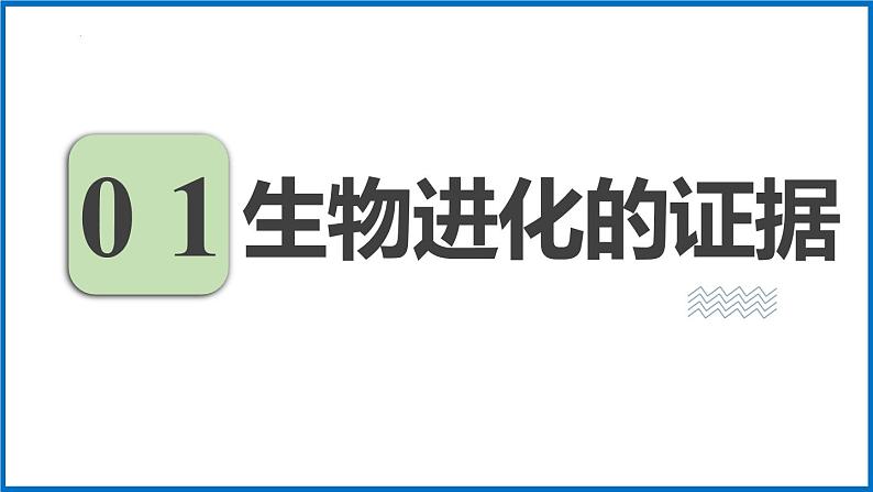 人教版（2024）八年级生物下册7.3.2生物进化的历程精品ppt课件第3页