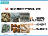 人教版（2024）八年级生物下册7.3.2生物进化的历程精品ppt课件