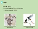 人教版（2024）八年级生物下册7.3.2生物进化的历程ppt精品课件