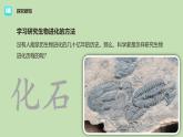 人教版（2024）八年级生物下册7.3.2生物进化的历程ppt精品课件