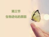 人教版（2024）八年级生物下册7.3.3生物进化的原因课件