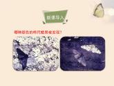 人教版（2024）八年级生物下册7.3.3生物进化的原因课件