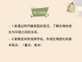 人教版（2024）八年级生物下册7.3.3生物进化的原因课件