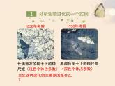 人教版（2024）八年级生物下册7.3.3生物进化的原因课件