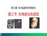 人教版（2024）八年级生物下册7.3.3生物进化的原因精品课件