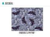 人教版（2024）八年级生物下册7.3.3生物进化的原因精品课件