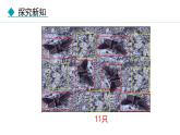 人教版（2024）八年级生物下册7.3.3生物进化的原因精品课件