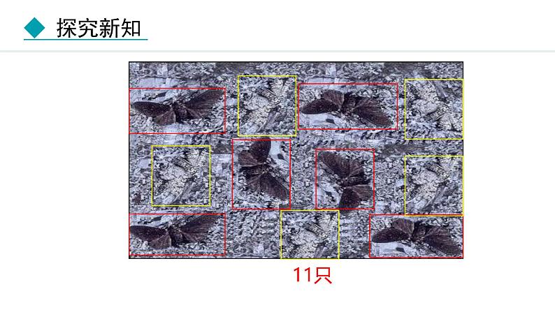 人教版（2024）八年级生物下册7.3.3生物进化的原因精品课件第5页