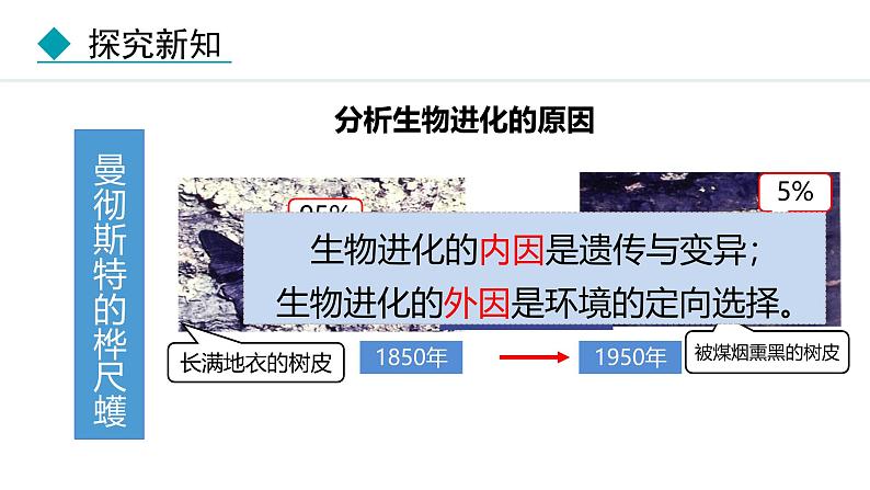 人教版（2024）八年级生物下册7.3.3生物进化的原因精品课件第6页